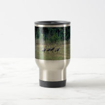 Mississippi Sandhill Cranes Mug