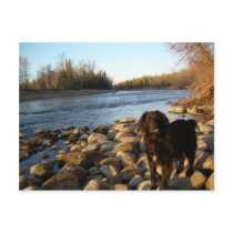 Mississppi river - Good Morning postcards by NiftyMorning Mississppi river - Good Morning postcards