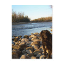 Mississppi river - Good Morning postcards by NiftyMorning Mississppi river - Good Morning postcards