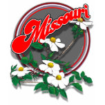 Missouri dogwood shirt F/B