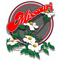 Missouri dogwood shirt F/B by Duncan_Reed Missouri dogwood shirt F/B