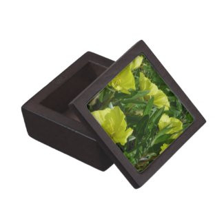 Missouri Evening Primrose Premium Gift Box planetjillgiftbox