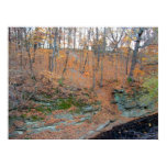Missouri in the Fall 3 posters