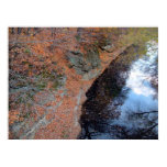 Missouri in the Fall 4 posters
