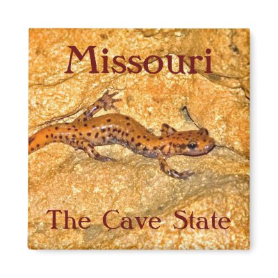 Missouri Magnets by JaguarPhotos