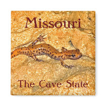 Missouri magnets by JaguarPhotos Missouri magnets