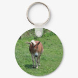 MIssouri Mule
