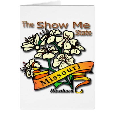 Awesome colours and raised lettering, make Missouri&squot;s design great for that perfect. The "Show Me State" shows off it&squot;s Hawthorn as the state flower.