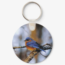 Missouris Bird key chain keychains by Russ45 Missouris Bird key chain keychains