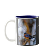 Missouris Eastern Bluebird. mugs by Russ45 Missouris Eastern Bluebird. mugs