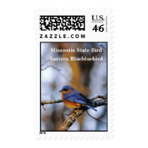 Missouris state brd postage by Russ45 Missouris state brd postage