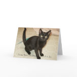 Missy Notecards