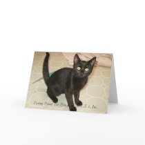 Missy Notecards