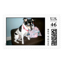 missy postage