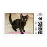 Missy Postage