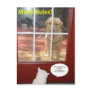 Missy Rules! Post Card