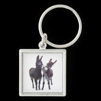 "Missy's Donkeys" keychains
