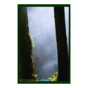 Mist at Silver Falls posters by HappyJackCreations Mist at Silver Falls posters