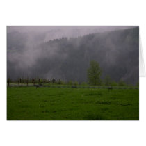 Mist cards by Johan_den_Hollander Mist cards