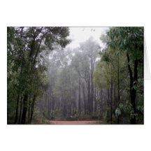 Mist & Eucalypts Greeting Cards