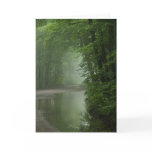 Mist in the forest greeting card