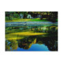 Mist on Pond Postcard