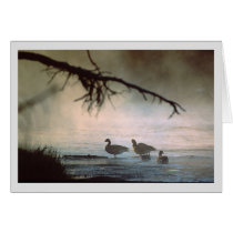 Mist Rises Over the Madison River cards
