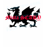Mista SCARY Dragon Logo T- shirt - Customized