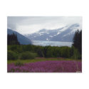 Misted Mendenhall Postcard by hopefulone Misted Mendenhall Postcard