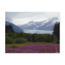 Misted Mendenhall Postcard