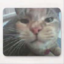 mister cat mousepad