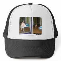 Mister Prepares for the Beach! hats