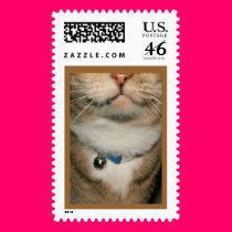 mistercat... stamps