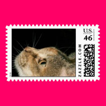 misterman stamps