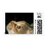 misterman postage stamp