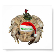Mistletoad Print