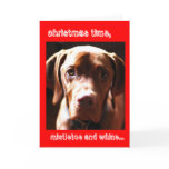 Mistletoe and whine cards