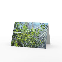 Mistletoe Cards