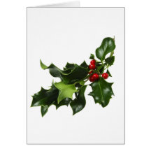 Mistletoe Greeting Card