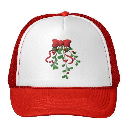 Mistletoe hat