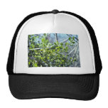 Mistletoe Mesh Hat