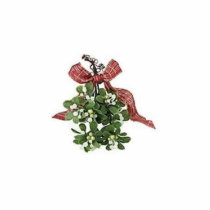 Mistletoe Ornament Photo Sculpture