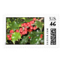 Mistletoe postage