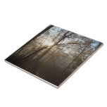 Misty Autumn rning in the Forest #1 Ceramic Tile