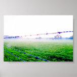 Misty Barbed Wire View Poster