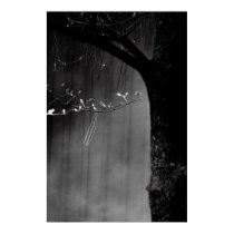 Misty Dogwood Flowers posters by Edie_Howe Misty Dogwood Flowers posters