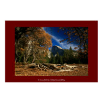 Misty Dogwood Flowers posters by Edie_Howe Misty Dogwood Flowers posters
