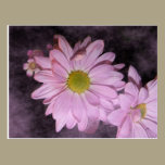Misty Floral Cards postcards