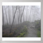 Misty Forest Poster