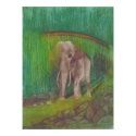 MISTY JUNGLE posters